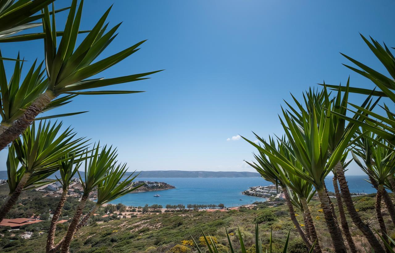 Sounio Villa Сунион Экстерьер фото